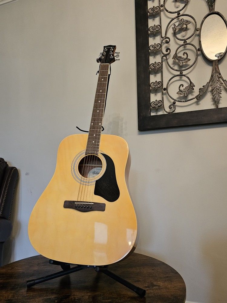 Acoustic Guitar