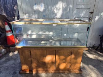 Fish tank / terrarium