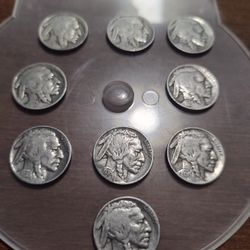Nine Buffalo Nickels. 