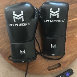 Hit N Move Suvari horsehair Gloves 16 Oz