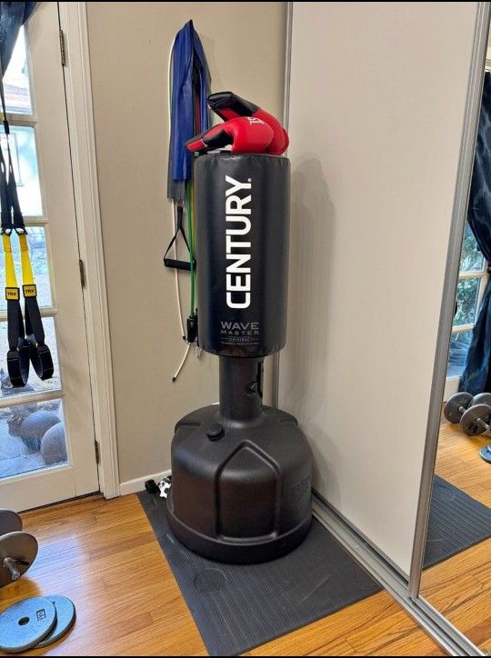 Punching Bag And Gloves