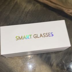 AI Meta Glasses