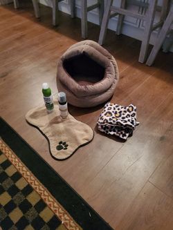 Kitty Bed And Stuff