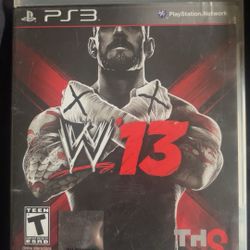 WWE 13
