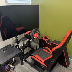 Fanatec And Thrustmaster pro Sim Racing Setup