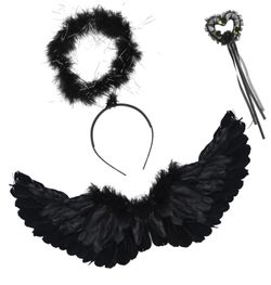 Angel Halo And Wings