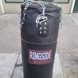 ring side punching👊 Bag