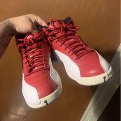 Jordan 12 