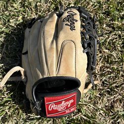 Rawlings Elite Glove