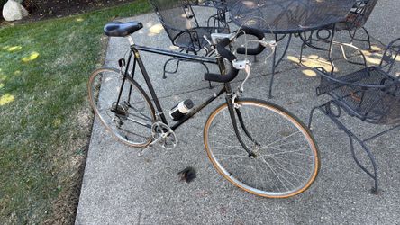 Vintage Nishiki Custom Sport