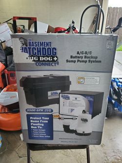 The Basement Watchdog