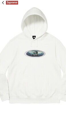 Supreme The North Face Lenticular Mountains Hooded Sweatshirt White L TNF Large