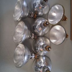 Flood Light Bulbs Outdoor - Indoor 120v