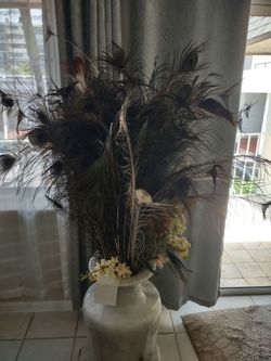 Peacock feathers