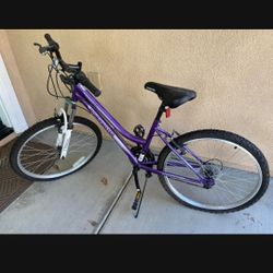 24' Bike Roadmaster