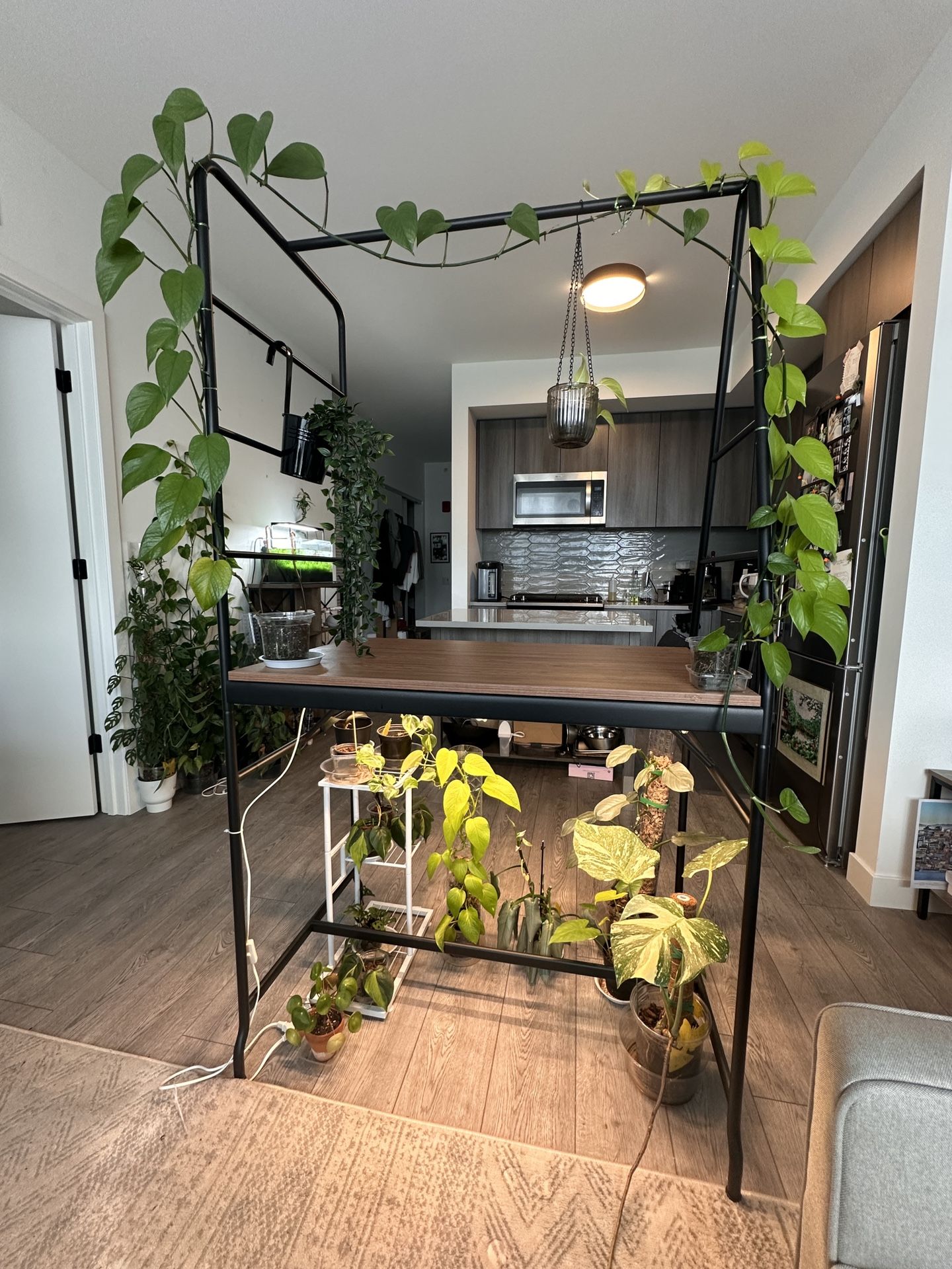 Table with ladder storage and vining plants