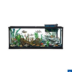Aquarium Starter Kit in White Size: 55 Gal