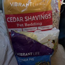 Guinea Pig Good And Bedding 