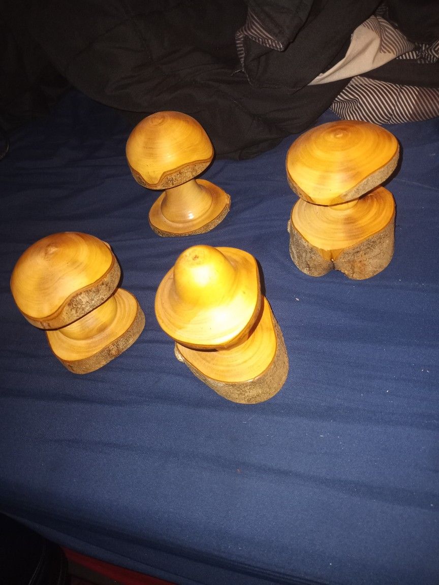 log mushrooms paperweights