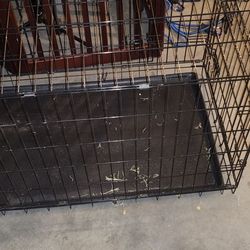 Large kennel