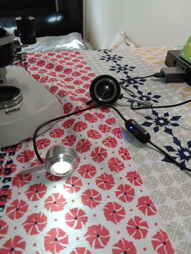 Zeiss Microscope