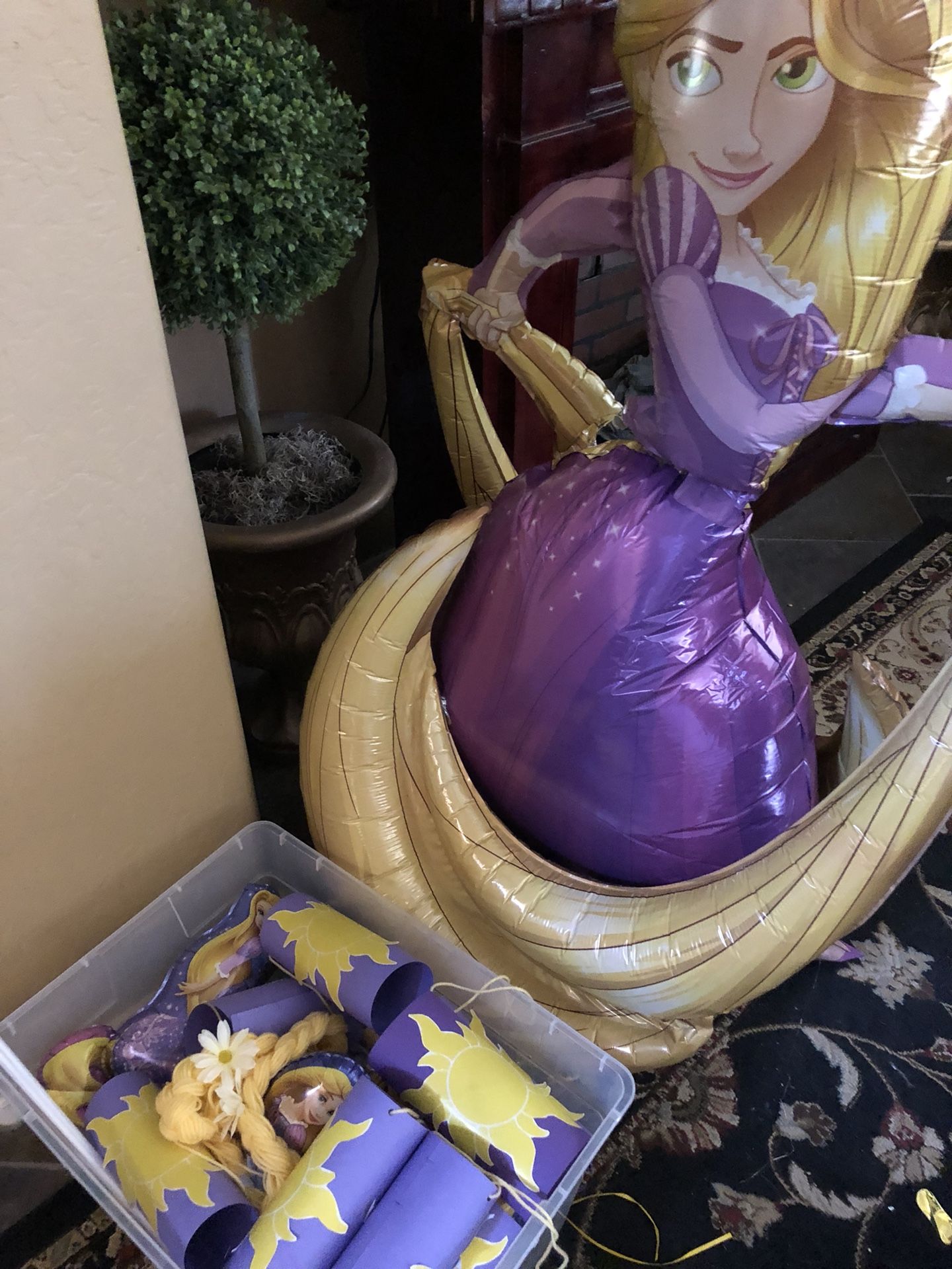 Rapunzel Decor