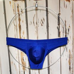 NWOT Royal Low-rise Bikini Brief Breathable Underwear S 