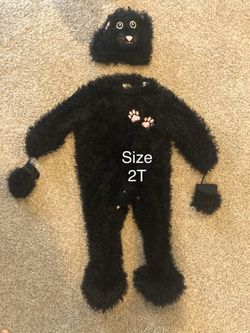 2T kitty costume