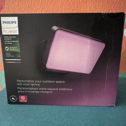 Philips Hue Flood Light