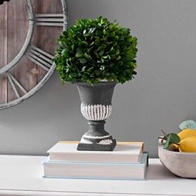 SALE Large 17" Tall Boxwood Topiary Dark Gray Urn