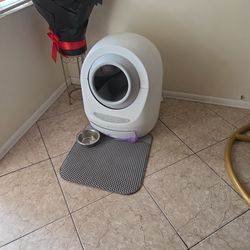 Automatic Litter Box