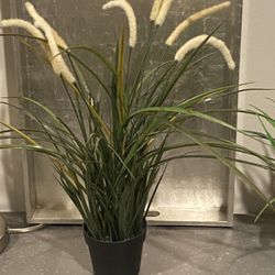 IKEA Faux Grass Plant  In The Modern White  Ceramic Pot,  Total H15”, 