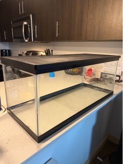 20 gal tank with lid