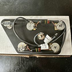 Gibson 335 Repro PreWired Harness With RS Super Pots And Bumblebee Capacitors