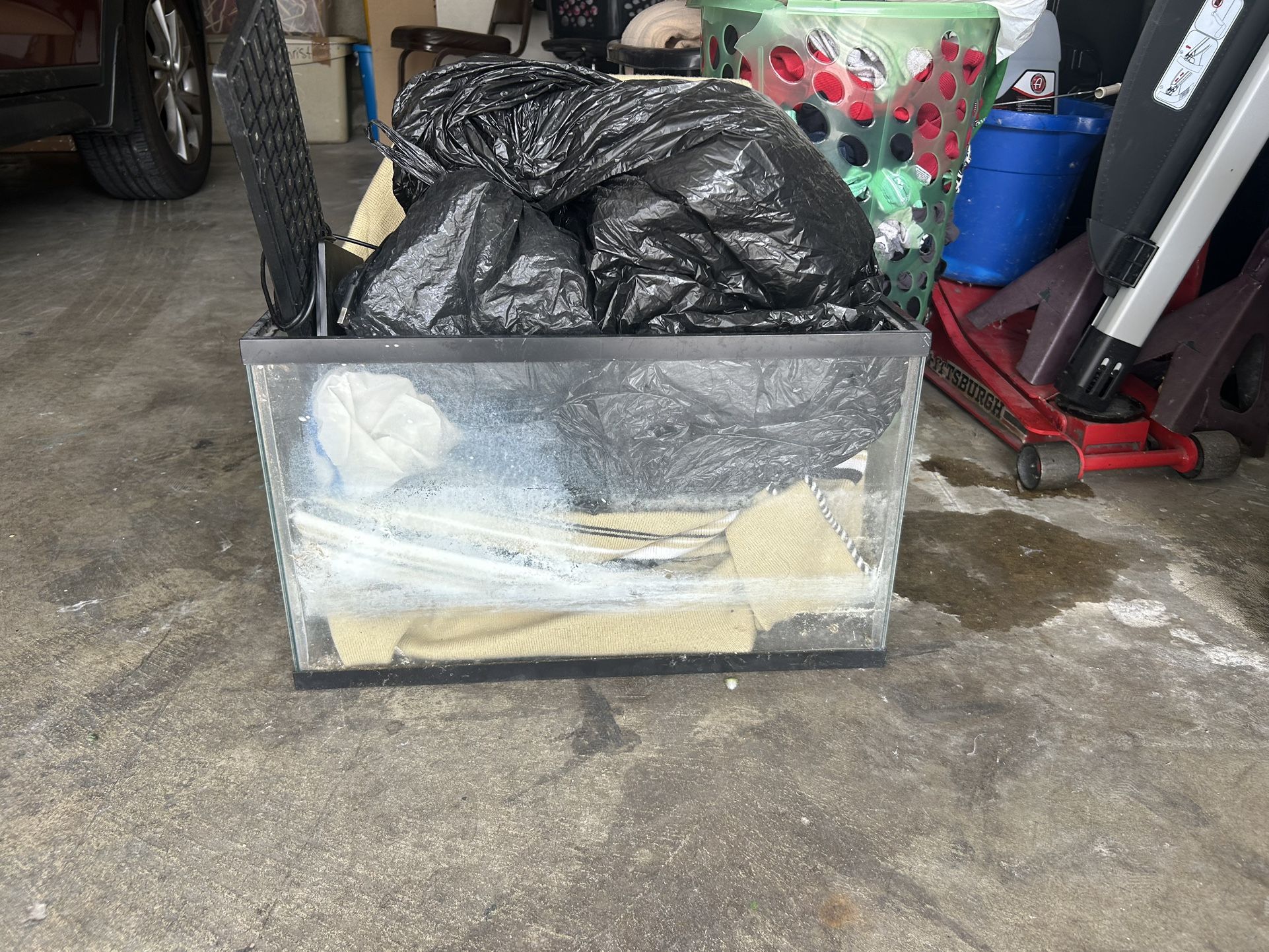 10 gallon tank for fish