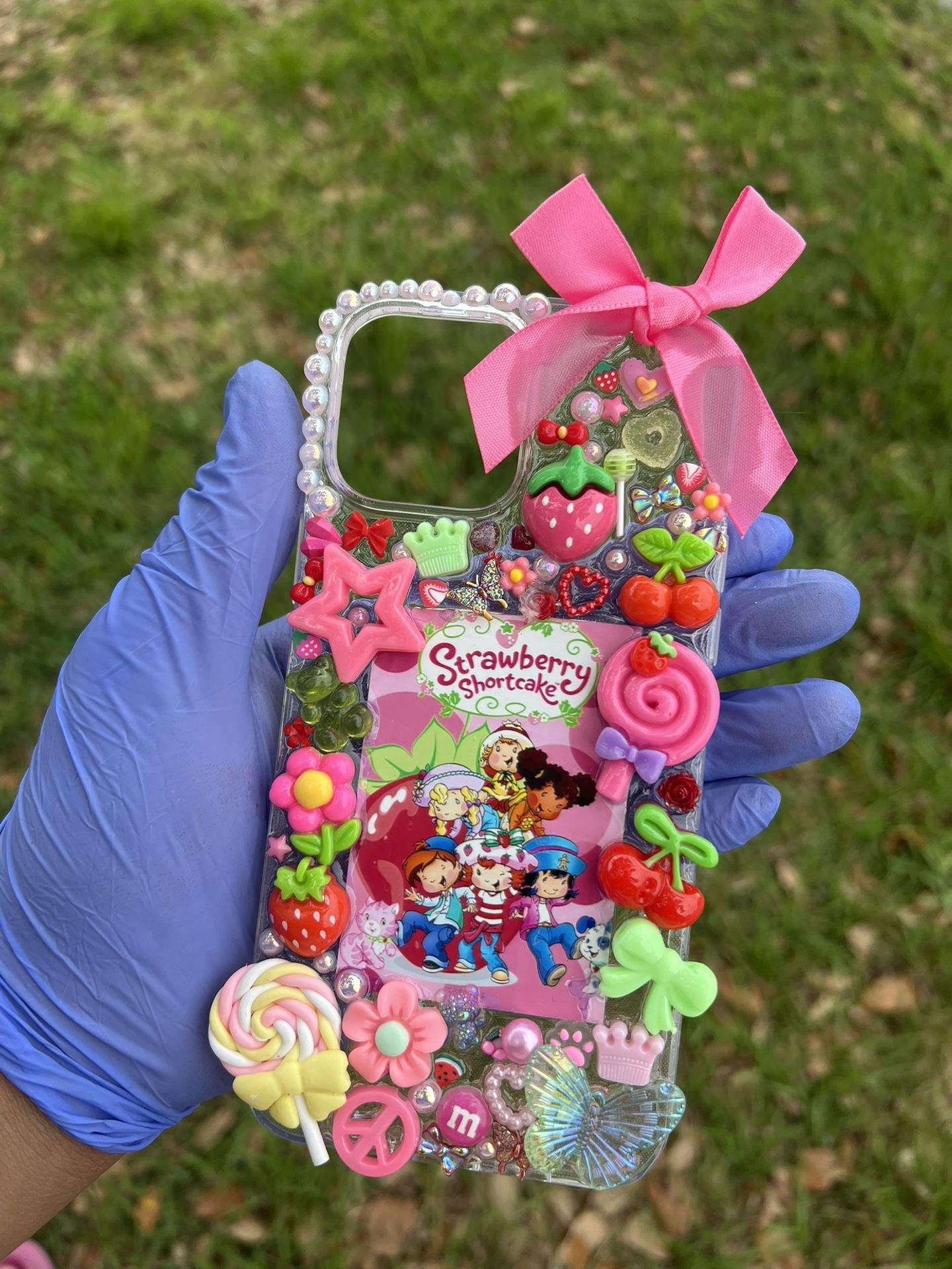 Strawberry shortcake, junk case