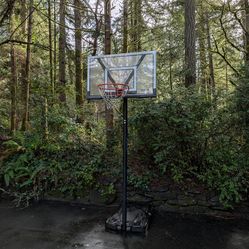 Lifetime adjustable basketball hoop