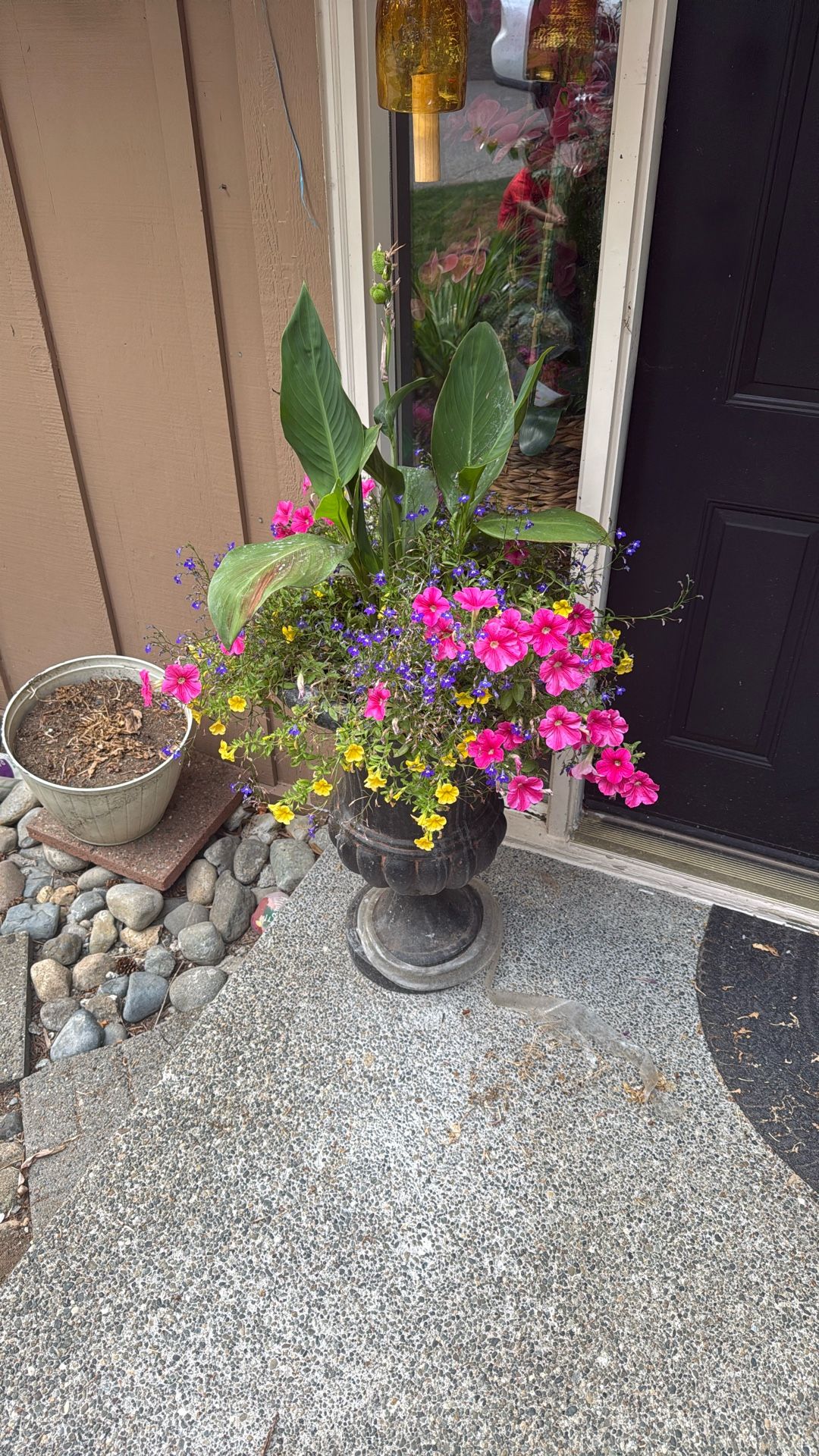 OutDoor Plant With Pots 