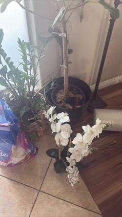 Garage sale (Saturday 12/20)