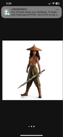 Raya and the Last Dragon Life-Size Cardboard Cutout