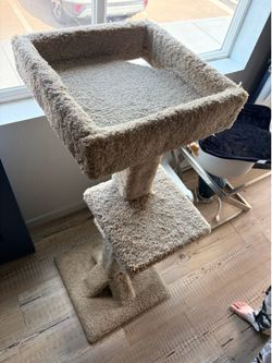 Cat post