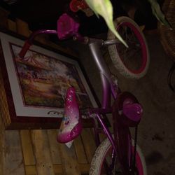 16" Princess Bike 