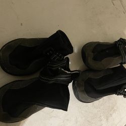 Black Dog Shoes Size 7