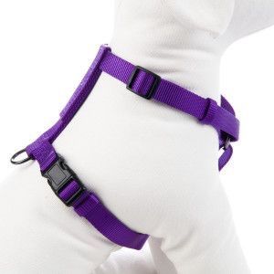 Purple  Adjustable Dog Harness