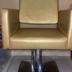 Salon Chair 