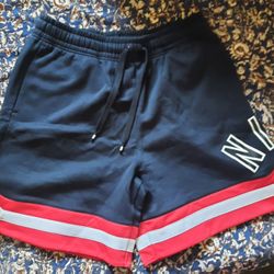 Brand New Nike Shorts Size XL $40