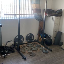 Squat Rack/Pull Up Bar+ Weights
