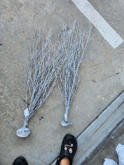 Silver twigs