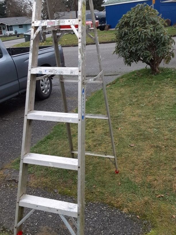 6 Foot Werner Ladder Delivery Is Avail Firm On My Price