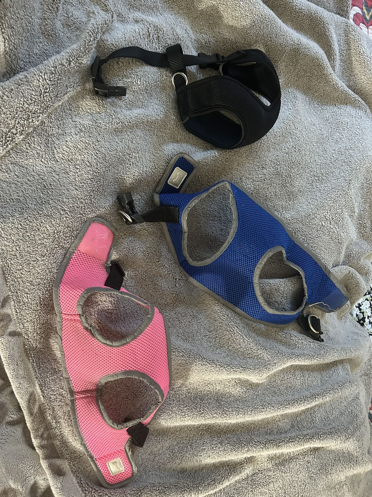 3 Small Dog Harnesses!!! $6